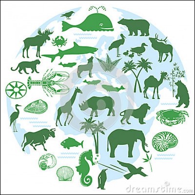 Qu'est la biodiversité ?