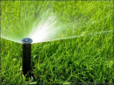 Quel système d'irrigation est le plus économique ?