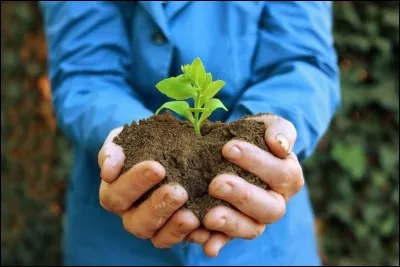 De quoi est constitué le sol ?