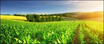 Quelles sont les conséquences de l'agriculture productiviste ?