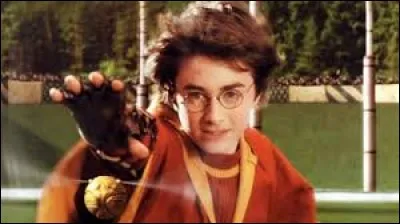 Comment Harry fait-il gagner son équipe au quidditch ?