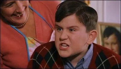 Comment Pétunia, la tante de Harry, appelle-t-elle son fils ?