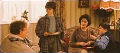 Où va la famille Dursley en compagnie de Harry ?