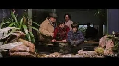 Que fait le père de Dudley en voyant le serpent n'a pas bougé sous les agacements de Dudley ?