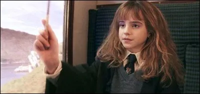 Quel est le premier sort qu'Hermione effectue devant Harry et Ron ?