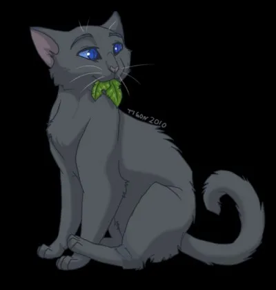 Pour qui Museau Cendré s'est-elle sacrifiée ?