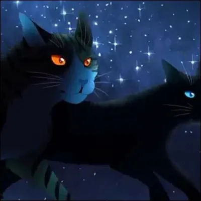 Qui est Feuille de Lune ?