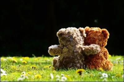 Préfères-tu trahir tes amies ou ta famille ?