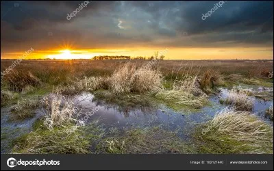 Quel est ton élément préféré ?