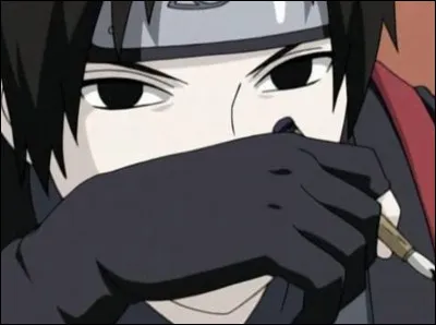 Qui remplace Sasuke dans l'&eacute;quipe 7 ?