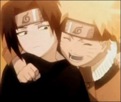 Naruto et Sasuke sont...