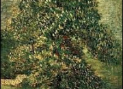 Quiz 10 toiles de Vincent van Gogh. - (5)