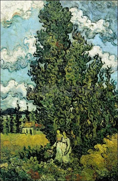 Vincent van Gogh a peint ce tableau nommé :