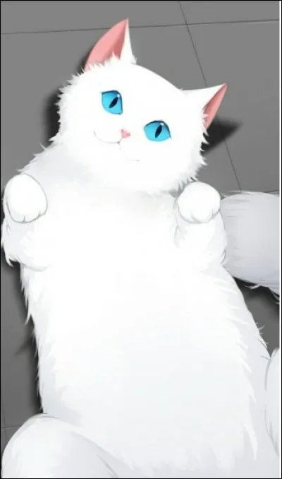 Si je te montre ce chat quelle est ta première pensée ?