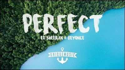 Qui a dit : «Ne craignez pas d'atteindre la perfection, vous n'y arriverez jamais.»