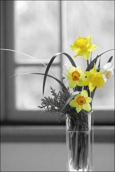 À quelle date est célébrée la fête des pères ?