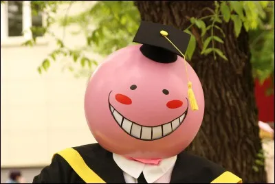 Quelle est l'émotion de monsieur quand il est rose ?