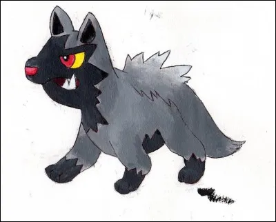 Quel est le talent caché de Medhyèna ?