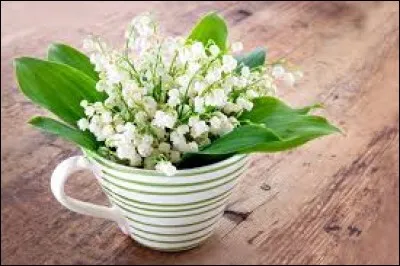 Cochez le prénom intrus.