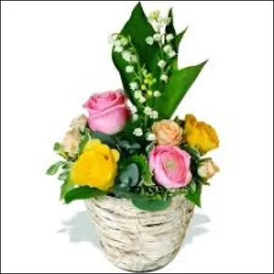 Quel arbre est l'intrus ?