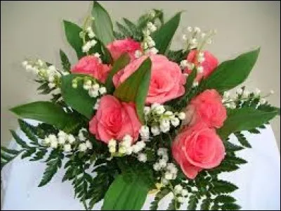 Quel nom est l'intrus ?