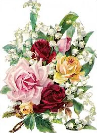 Quel mot est l'intrus ?