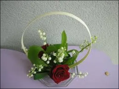 Quel mot n'a pas sa place dans cette liste ?