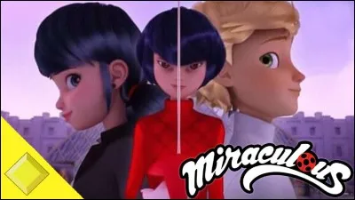 Quelle cheville s'est tordu Chat Noir ?