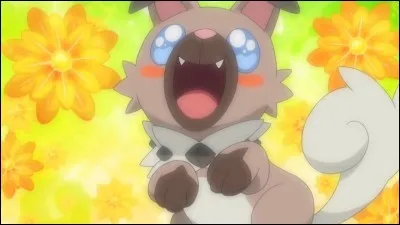 Dans le Pokédex national, Rocabot est au nombre...