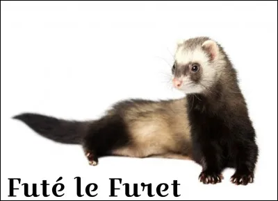 As-tu de la patience ?