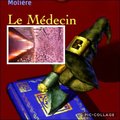 Trouver le titre de ce livre de Molière.
