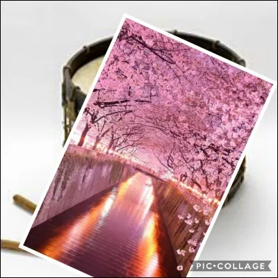 Je n'aime pas le bruit que tu fais, mais pour la majorité des autres personnes, tu te fais aimer, on te tape dessus avec des bâtons.