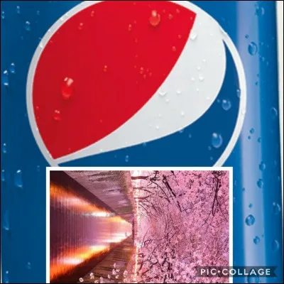 Tu as quasiment le même goût que le Coca-Cola, bien que ton taux de sucre est très légèrement plus élevé.