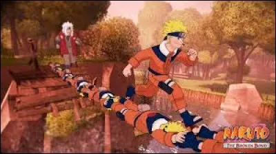 As-tu aim&eacute; ce jeu (ou aimes-tu Naruto) ?