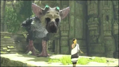 Quel est le nom de ce jeu vidéo ?