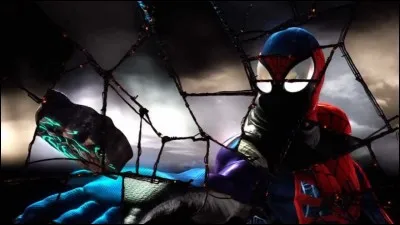 Quel est le nom de ce jeu vidéo ?