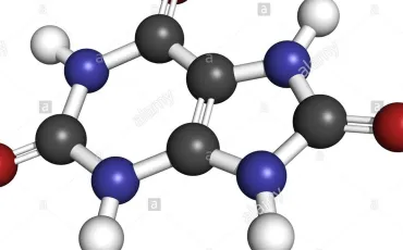 Quiz Physique