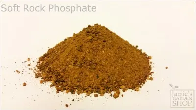 Quel est le symbole du phosphate ?