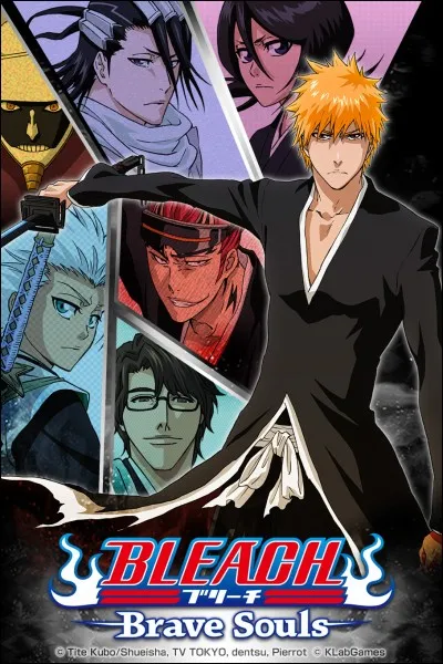 Dans Bleach que veut dire "FMS"?