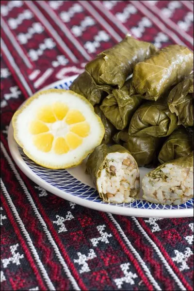 Quel est le plat consomm&eacute; en Turquie qui est fait &agrave; base de feuilles fourr&eacute;es de l&eacute;gumes et riz ?