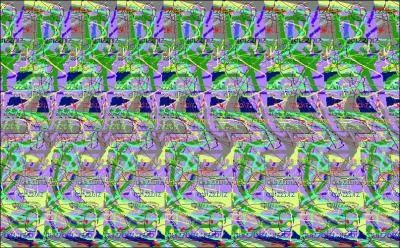 Que voit-on  travers cette image?