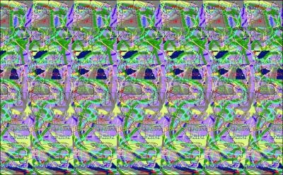 Que voit-on  travers cette image?