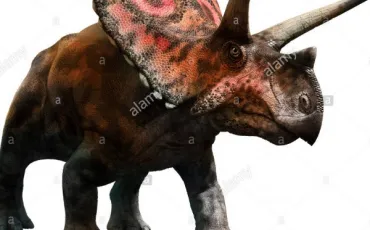 Quiz Dinosaures