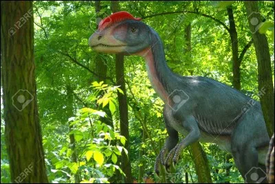 Quel est ce dinosaure ?