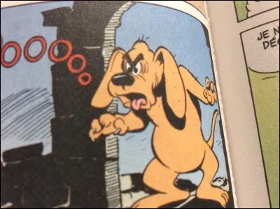 Le chien-garou est :