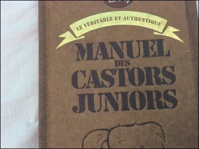 En combien d'exemplaires est écrit le Manuel des Castors Juniors ?