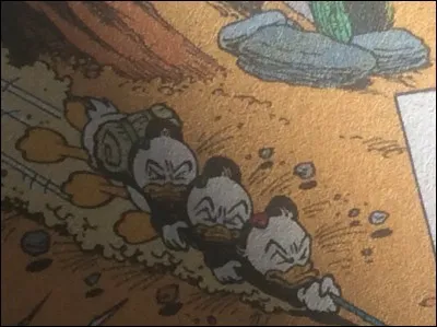 Les neveux de Donald s'appellent :