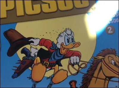 Dans "Les trésors de Picsou n°2", Picsou est un :