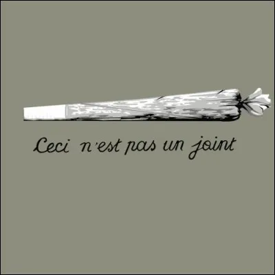 Qui chante 'La fille du coupeur de joints' ?