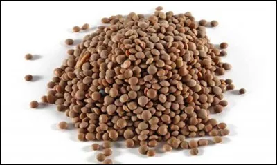 Comment s'appelle ceci en espagnol ?